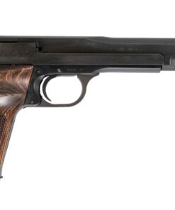 22 LR Rimfire Pistol